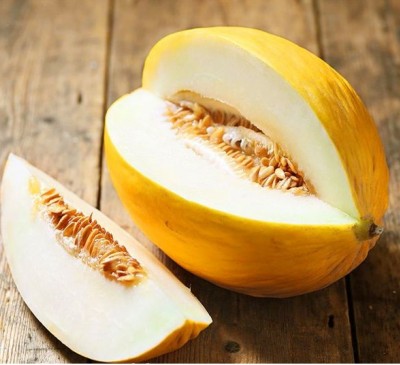 Melon Zlata